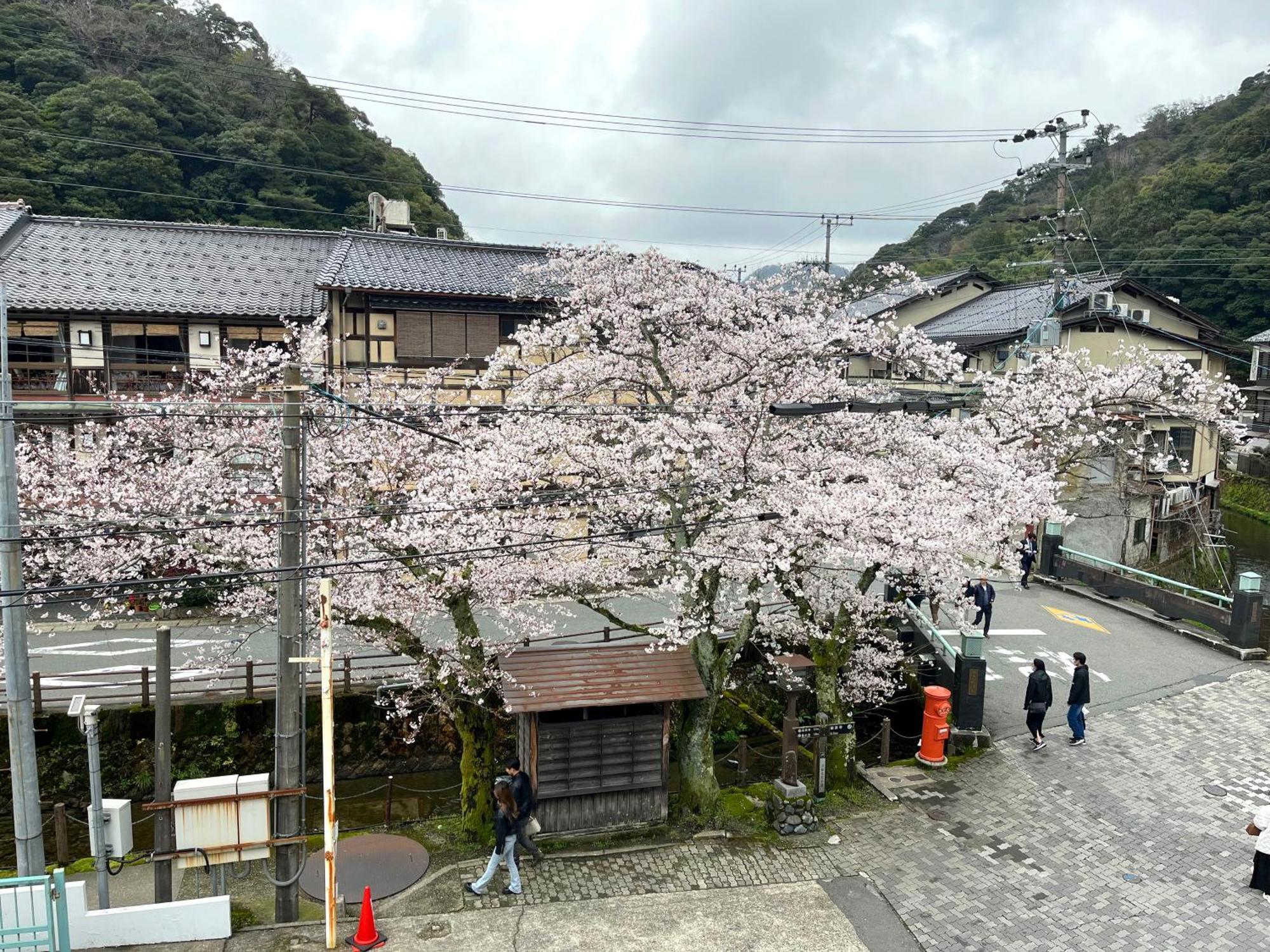 城崎温泉一棟貸し　旅宿yadokari Toyooka  Luaran gambar
