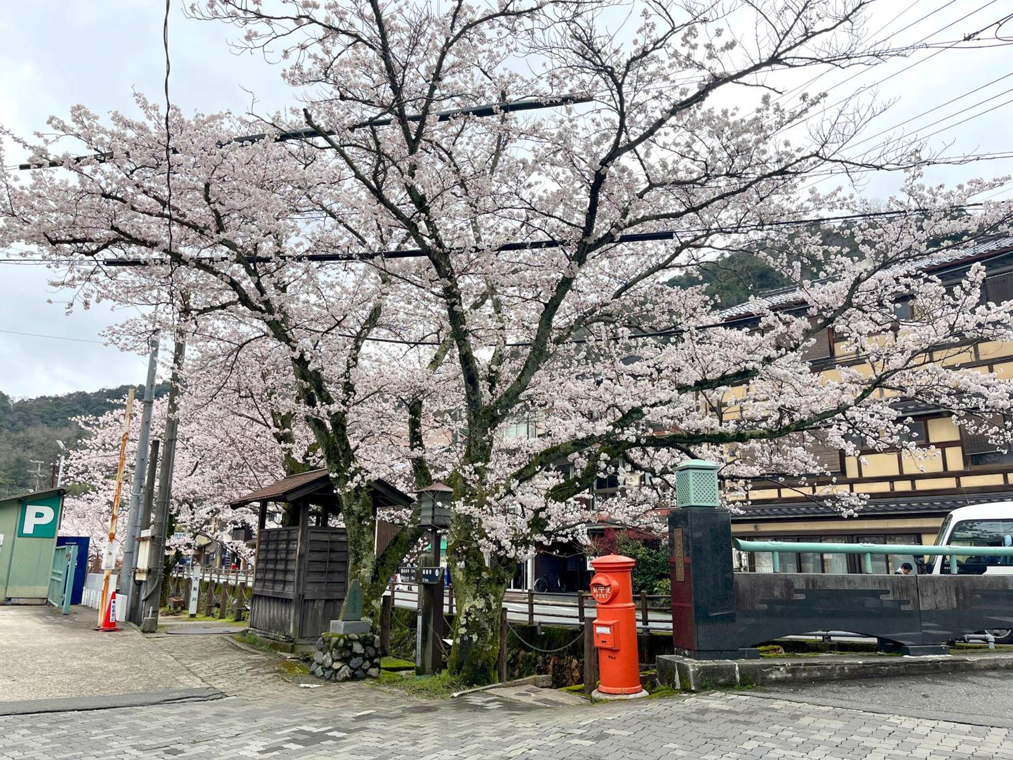 城崎温泉一棟貸し　旅宿yadokari Toyooka  Luaran gambar